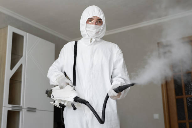 Why You Should Choose Our Mold Remediation Services in Flying Hills, PA